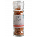 Sel fin de Guérande aromatisé - moulin 80g