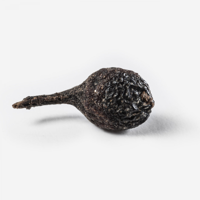 Poivre de Voatsiperifery