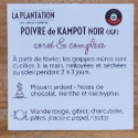 Poivre de Kampot Noir IGP